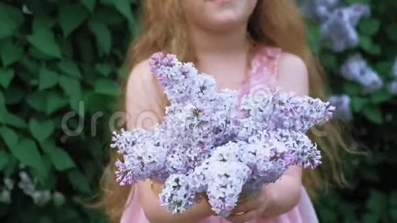 一个在公园或花园里户外的小女孩抱着丁香花背景中的丁香灌木夏天公园视频的预览图