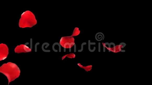 飘落的花瓣玫瑰3D动画视频的预览图