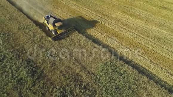 空中无人机镜头收割机联合收割小麦收割粮田美丽的自然空中景观视频的预览图