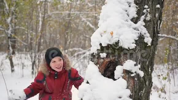 在冬天的公园里孩子们从树后扔雪球视频的预览图