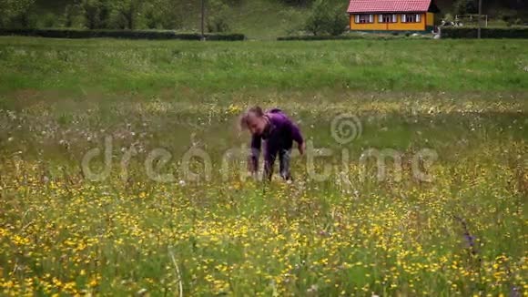 一个小女孩跑过草地吹蒲公英的花视频的预览图