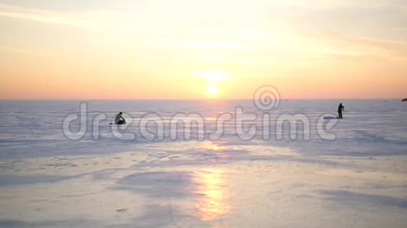 海鸥坐在冰封的海面上海鸥飞过冬天的大海白色的大海鸥飞过视频的预览图