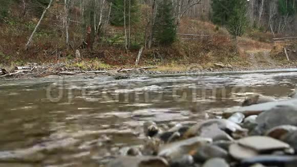 小而嘈杂的山区河流在森林中流淌视频的预览图
