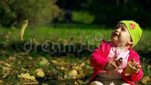 小女婴一动不动地坐在草地上在明媚阳光的初秋天看着公园里飘落的叶子小宝贝视频的预览图