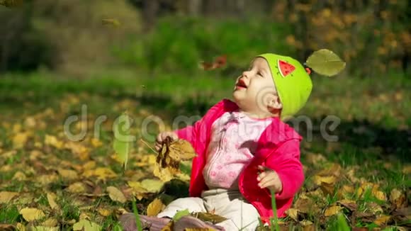 小女婴一动不动地坐在草地上在明媚阳光的初秋天看着公园里飘落的叶子小宝贝视频的预览图
