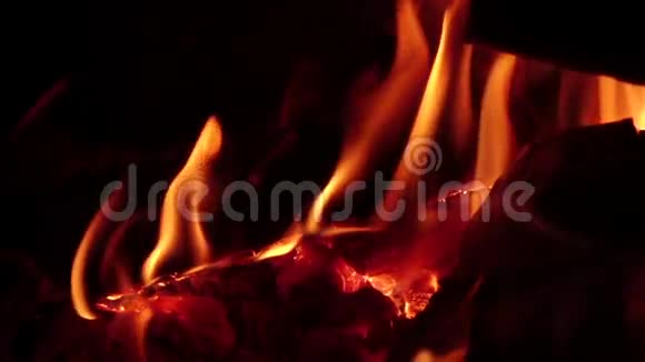 晚上在营火中燃烧动作慢特写视频的预览图