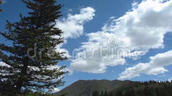 阿尔泰松山风天视频的预览图