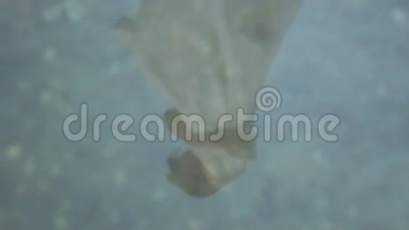 海水中一个女人的倒影视频的预览图