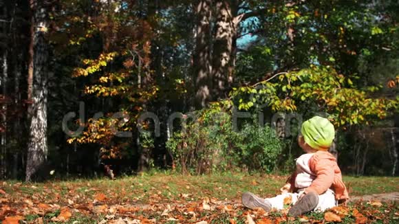 小女婴一动不动地坐在草地上在明媚阳光的初秋天看着公园里飘落的叶子视频的预览图