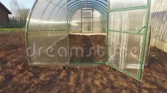 黄瓜生长在温室4K视频的预览图