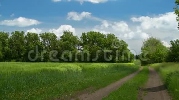 地面道路在麦田和美丽的多云春天的风景视频的预览图