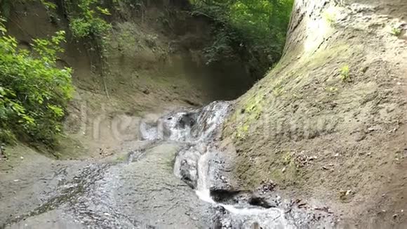 在WolfsschluchtEngl内徒步旅行德国埃菲尔地区的狼峡流经软质火山岩形成的溪流视频的预览图