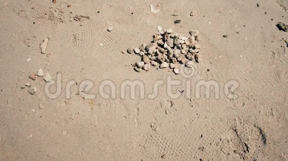 在沙滩上用鹅卵石铺成夏日这个词视频的预览图
