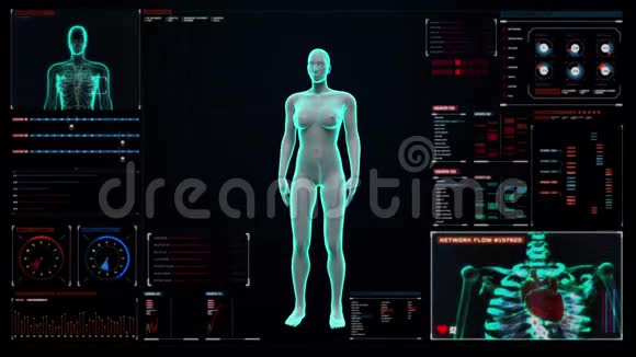 女性人体扫描内脏消化系统蓝色X光灯在数字显示用户界面上视频的预览图