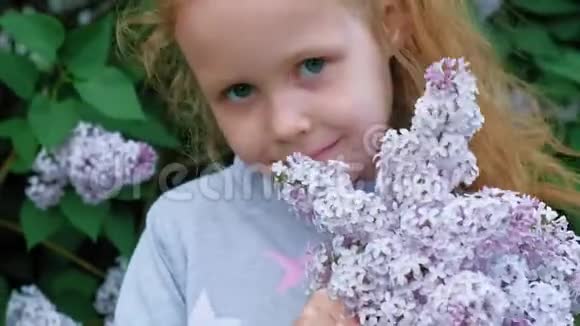 一个在公园或花园里户外的小女孩抱着丁香花背景中的丁香灌木夏天公园视频的预览图