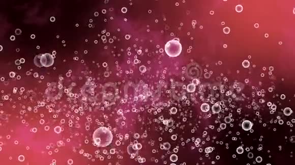 移动气泡的抽象粉红色背景循环动画视频的预览图