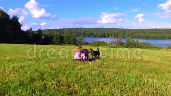 女人坐在绿茵场上两条狗视频的预览图