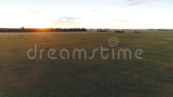 全景俯视空中照片从飞行无人机顶景美丽的日落视频的预览图