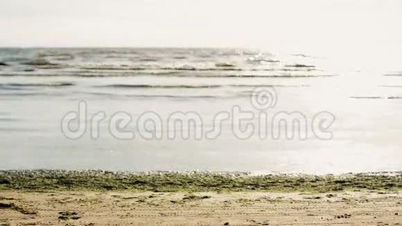 年轻人在镜头前的沙滩上做翻转波浪海洋夏日晴天视频的预览图