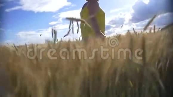 女人在金色的大麦地奔跑微笑慢动作视频的预览图