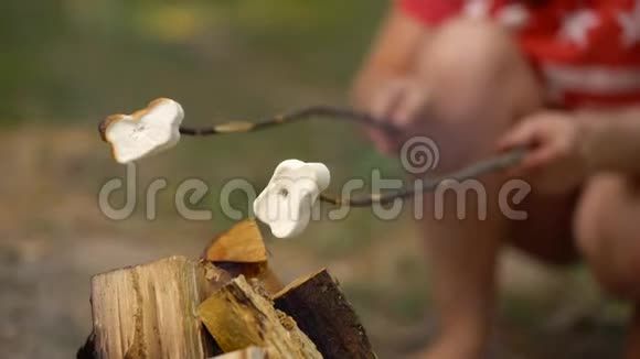 棉花糖是煎炸的烤在篝火上方的棍子上户外视频的预览图