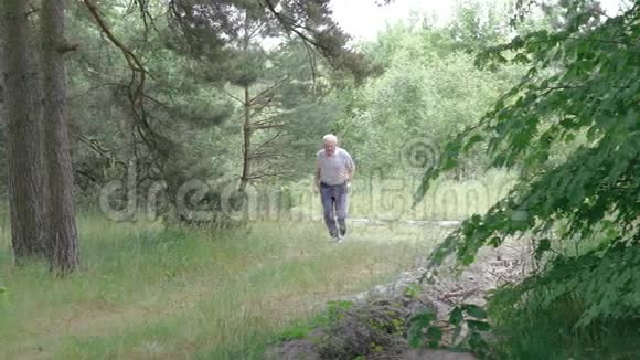 老人在针叶林自然的户外慢跑慢动作视频的预览图