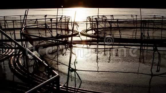 日落时分的鲟鱼笼子视频的预览图