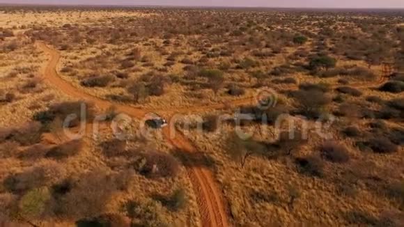 越野车正沿着纳米比亚大草原的小径行驶视频的预览图