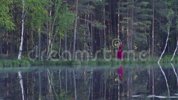 在湖边的森林里散步的年轻女子视频的预览图