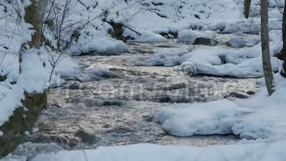 冬天一条美丽的清澈的小溪雪从树林里流过视频的预览图