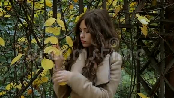 美丽的女孩悲伤的心情秋天的公园视频的预览图