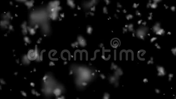 高质量的运动动画忏悔降雪动画上的黑色背景落下真正大的雪花白雪公主视频的预览图