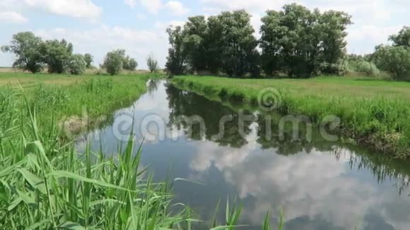 夏天的哈维尔河主河流经哈维尔兰的小侧臂德国勃兰登堡视频的预览图