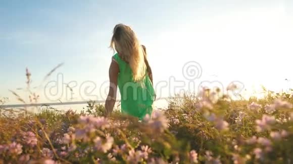 年轻的金发女人在田野里散步晚上摘野花视频的预览图