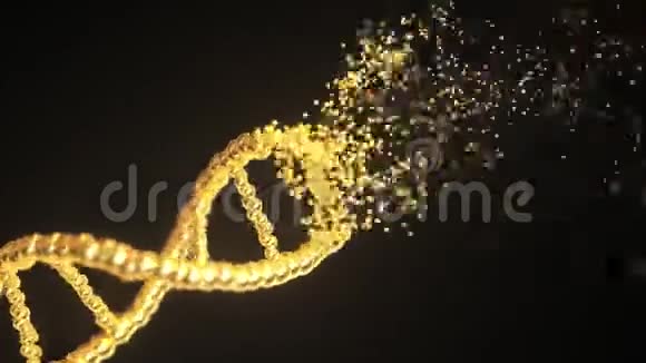 飞的粒子制作金色DNA分子模型循环概念三维动画视频的预览图