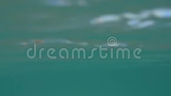 在清澈的蓝色海洋中沐浴可以看到热带海滩视频的预览图