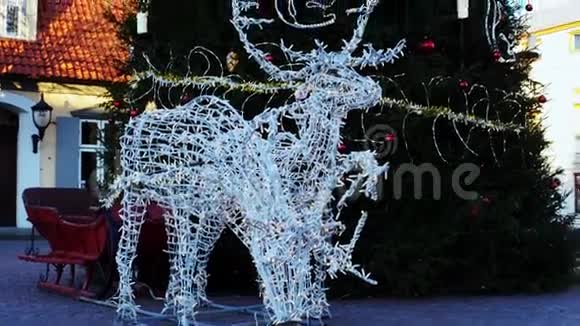 圣诞装饰鹿形于树下在冬季视频的预览图