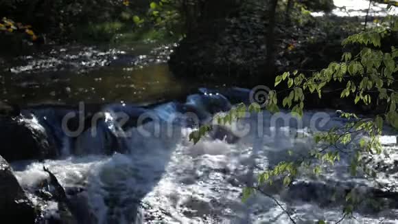 湍急的溪流河水流过石头奇妙的大自然景象的荒野视频的预览图