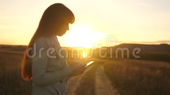 日落时分女性手拿着平板电脑在公园里查看电子邮件女孩手指触摸屏平板电脑视频的预览图