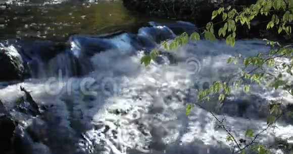 湍急的溪流河水流过石头奇妙的大自然景象的荒野视频的预览图