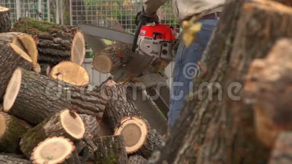 锯木与电锯01视频的预览图