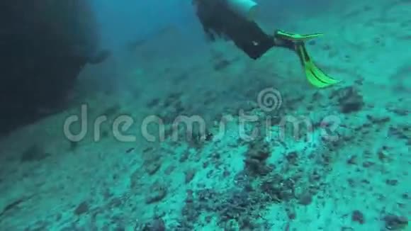 潜水员带着甲虫在水下游泳深度氧气含量海利夫视频的预览图