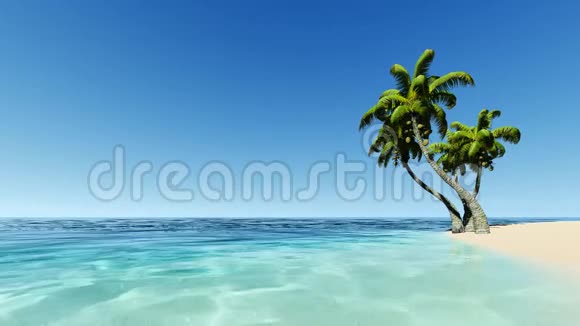热带岛屿棕榈在图尔库兹海视频的预览图