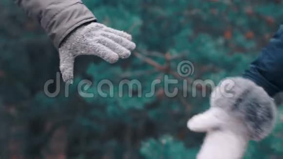 两人手牵着森林背景慢镜头视频的预览图