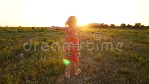 那个女孩在夕阳的光线下在田野里旋转视频的预览图