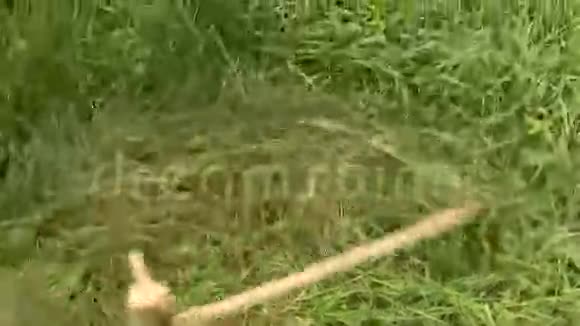 人工割草视频的预览图