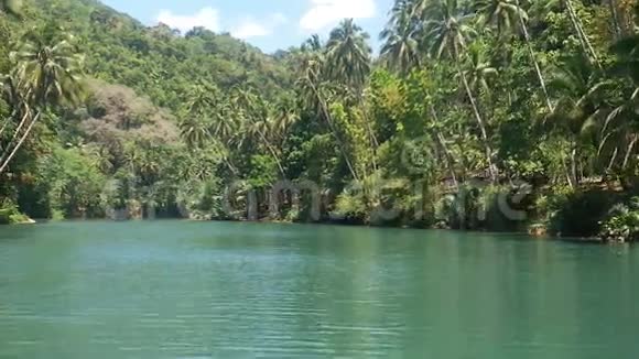 丛林里的河流菲律宾视频的预览图