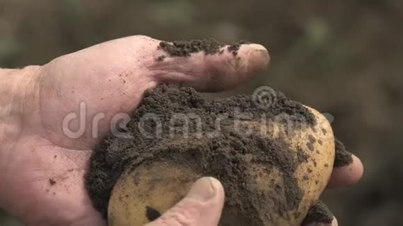 农夫手里拿着一种土豆手和土豆的生物制品上面沾着泥土概念生物学生物视频的预览图