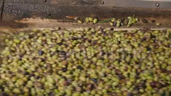 产油前在水下清洗橄榄视频的预览图