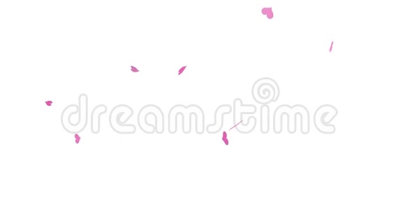 粉红色的心落在白色孤立的背景上视频的预览图